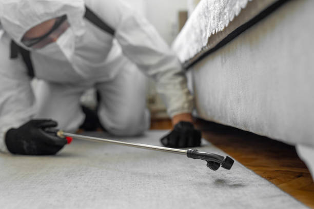 Professional Bed Bug Control technician working in Russell County County, KY